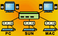 Audio/Video Matrix Switch, SWITCH AUDIO & VIDEO FROM MANY COMPUTERS AMONG MULTIPLE MONITORS & SPEAKERS